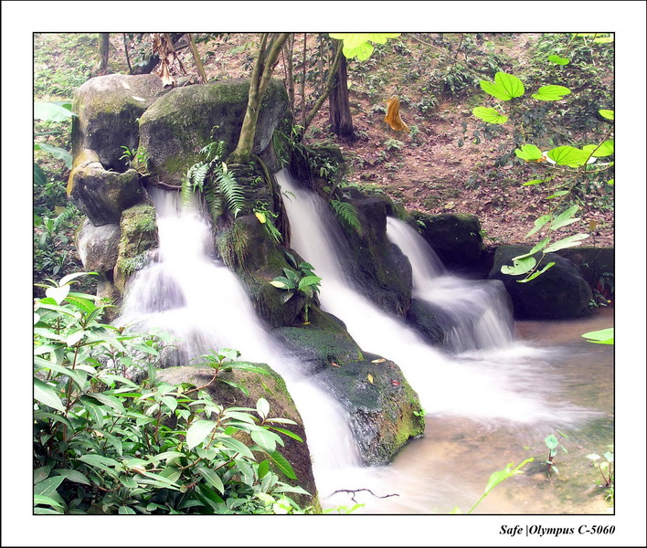 2005 - 08 - KUL - parc animalier  - 40.JPG